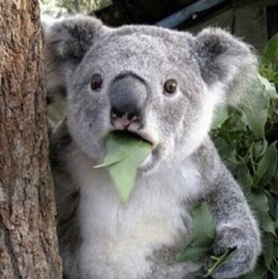 [7] 코알못의 '불량 검사 프로그램', '테트리스' 5분 만에 만들기 썸네일